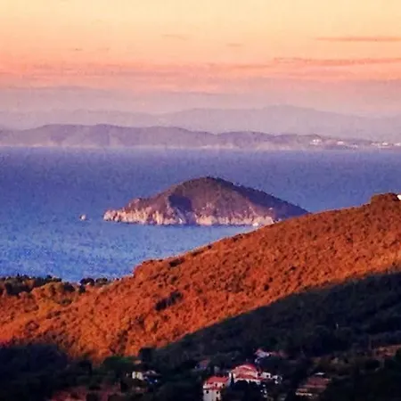 Rossa ゲストハウス